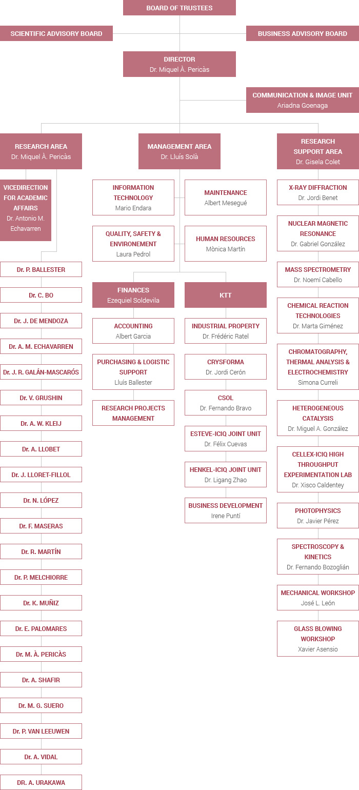 organisational-chart